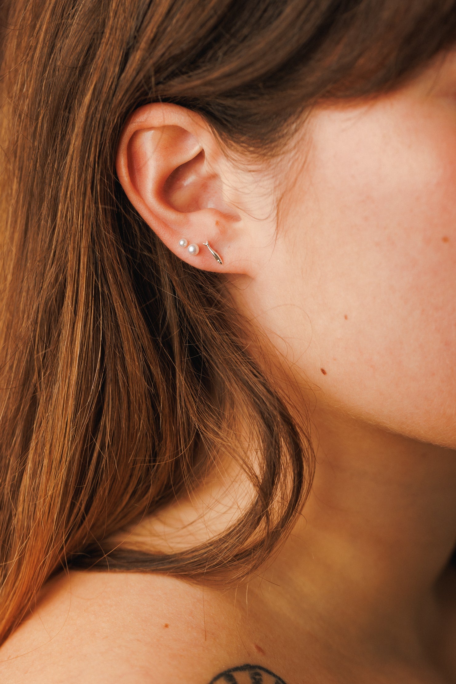 Sardine Studs