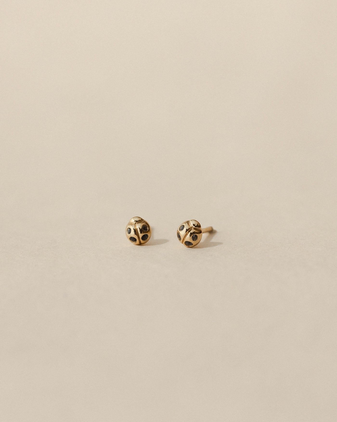 Ladybug Studs