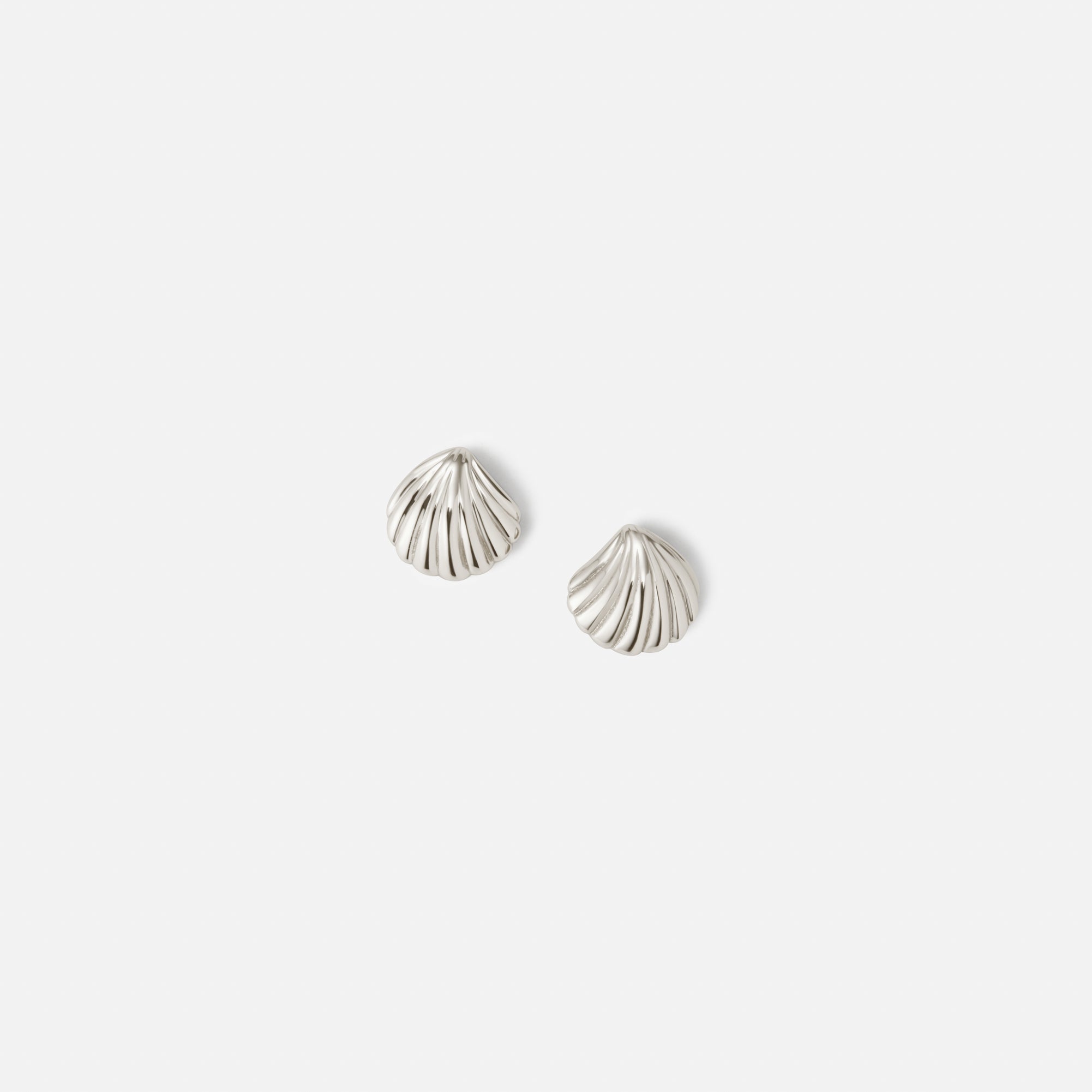 Baby Seashell Studs