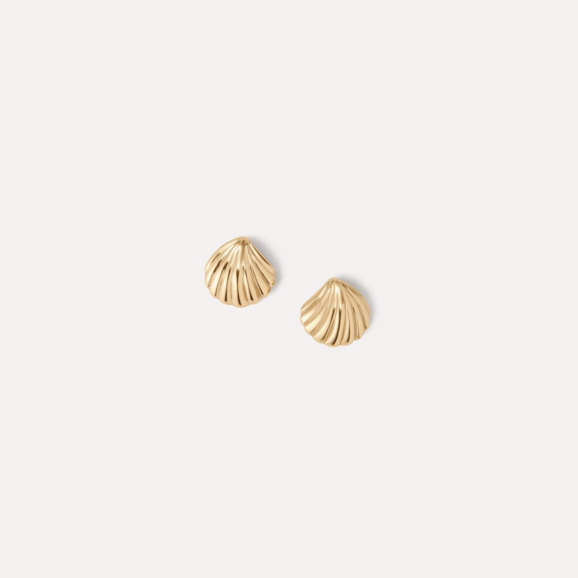 Baby Seashell Studs