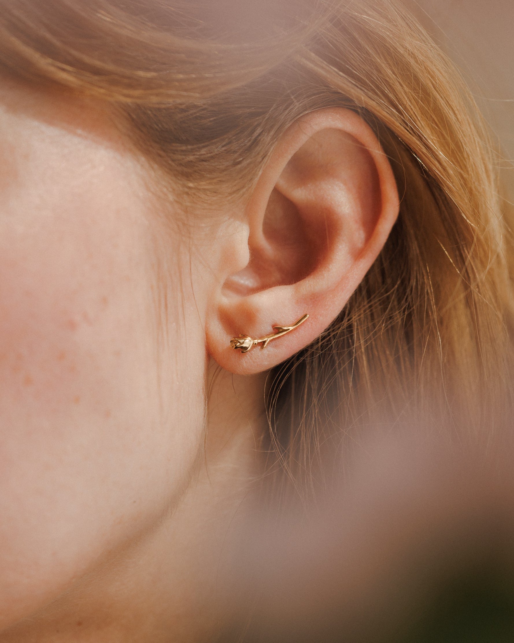 Rose Ear Climber
