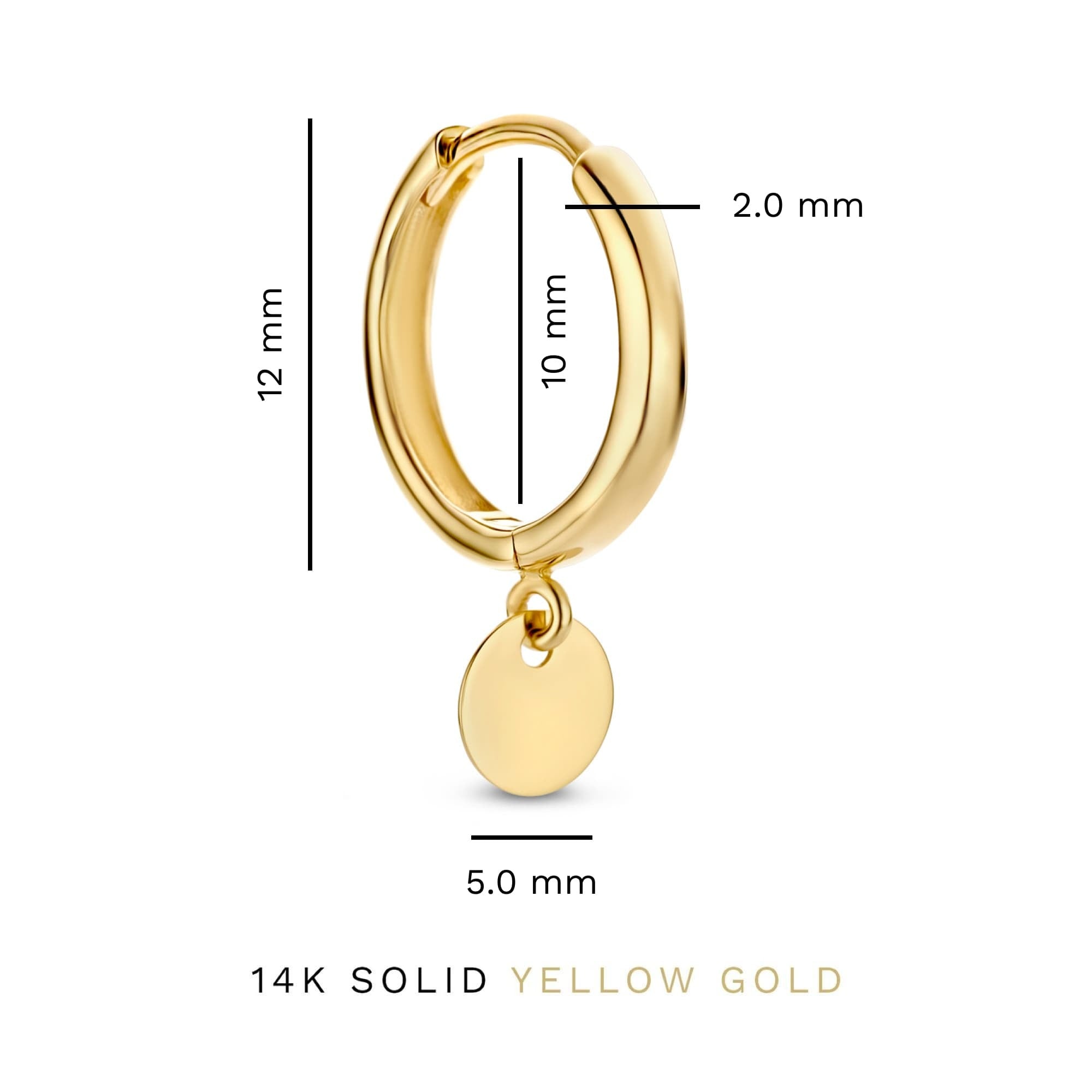 Le Marais Jeanne 14 karat gold hoop earrings with coin