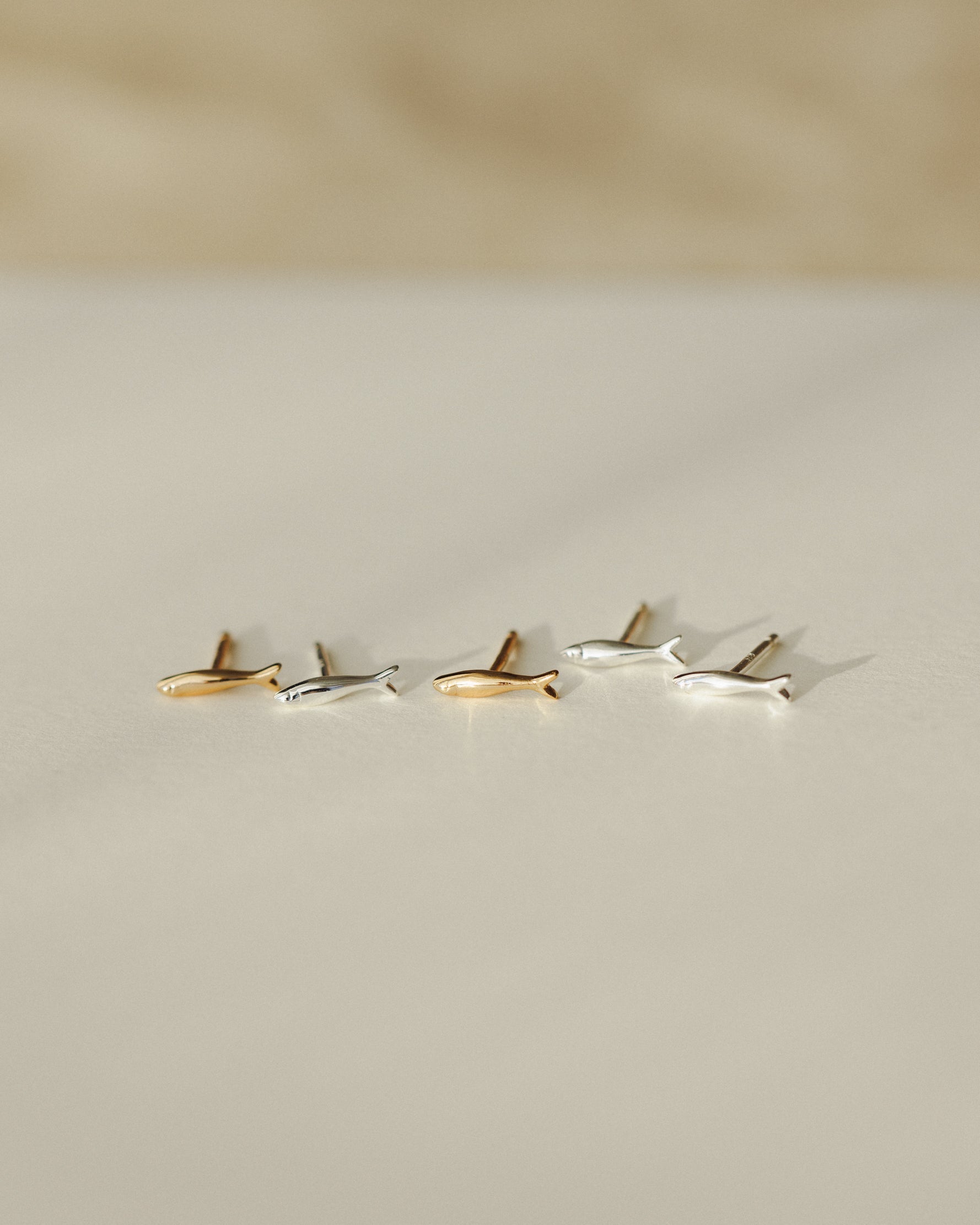 Sardine Studs