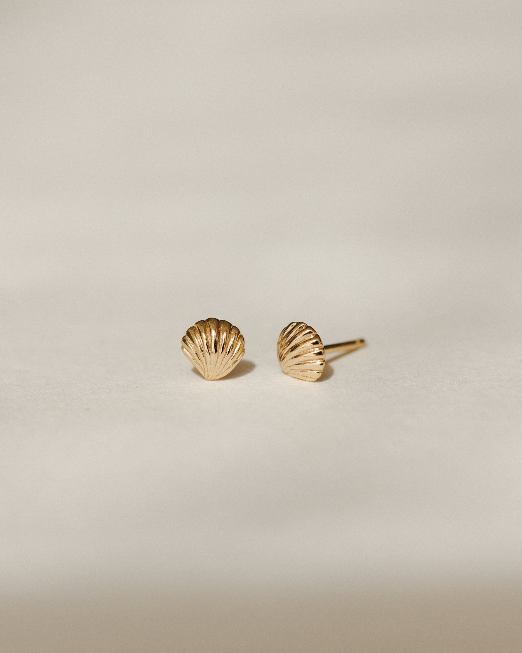 Baby Seashell Studs
